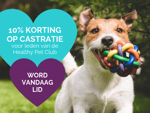 10% KORTING OP CASTRATIE voor leden van de Healthy Pet Club WORD VANDAAG LID