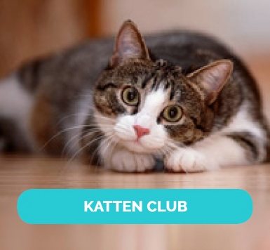 nl-join-the-club-katten